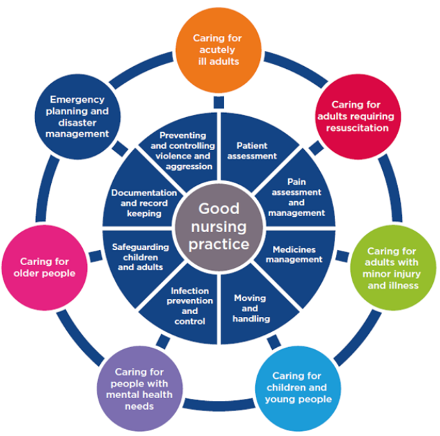 Diagram showing seven parts to Good Nursing practice 