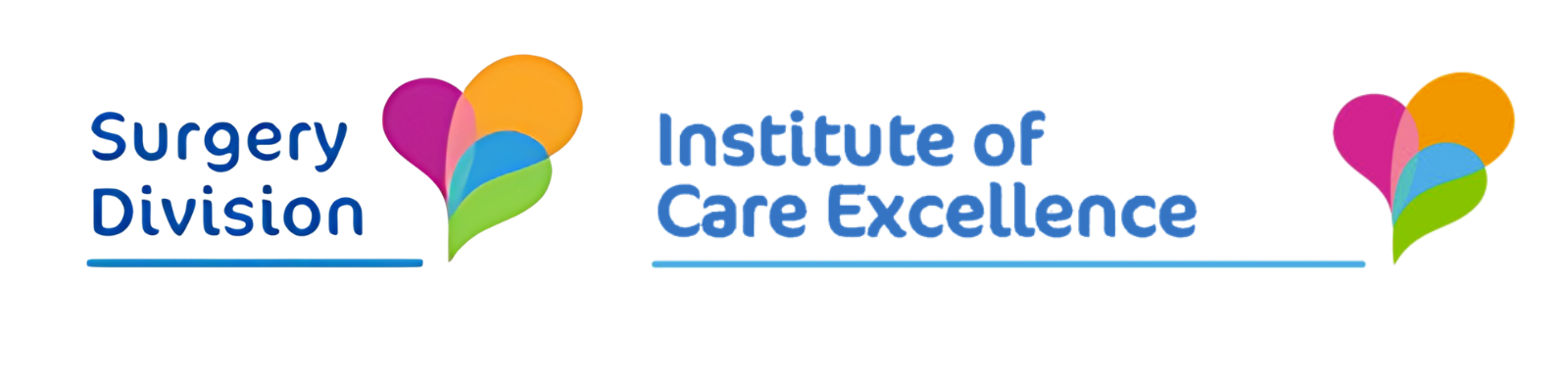 Partners Surgery Division and Institute of Care Excellence