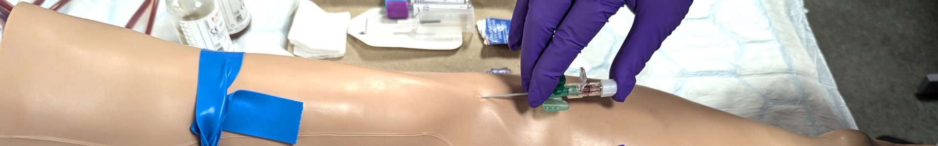 Banner image for Midwifery Cannulation course